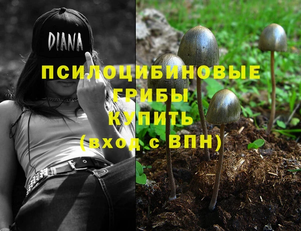 тгк Магадан